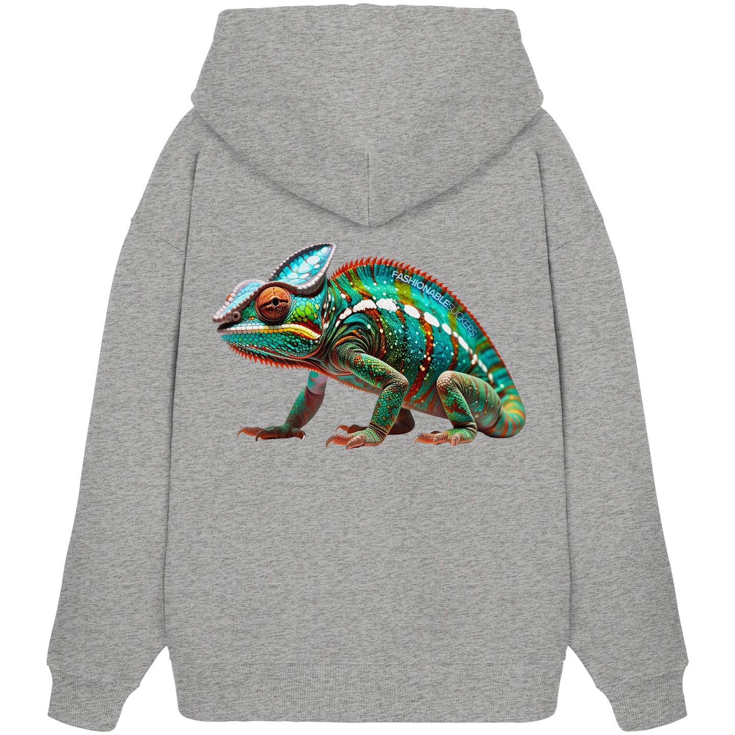 FS Chamäleon - Grey Hoodie
