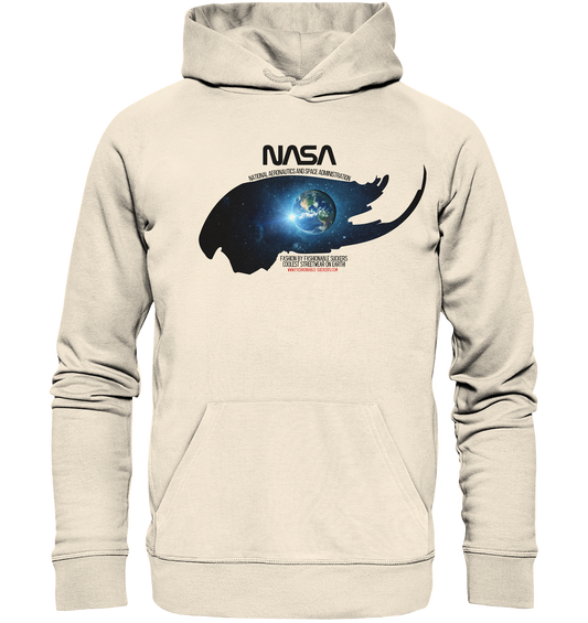 NASA Earth Painting