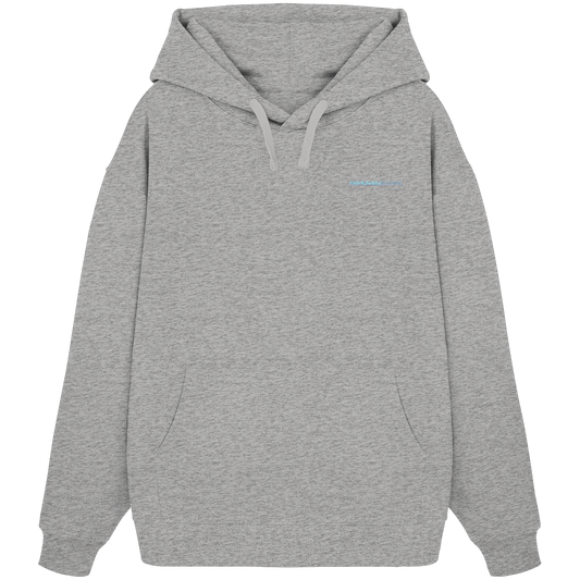 Chamäleon Grey Hoodie